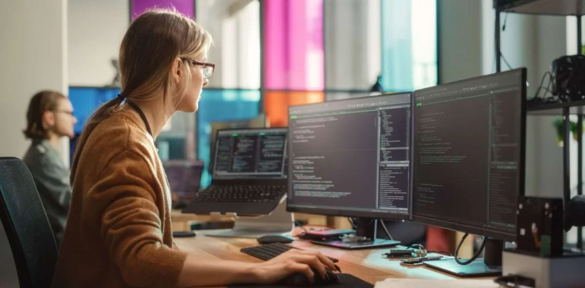 Enterprise Software Consulting